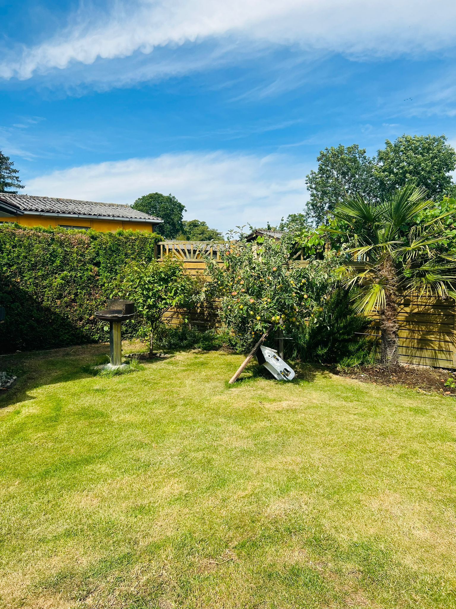 Eingezäunter Garten mit Grill