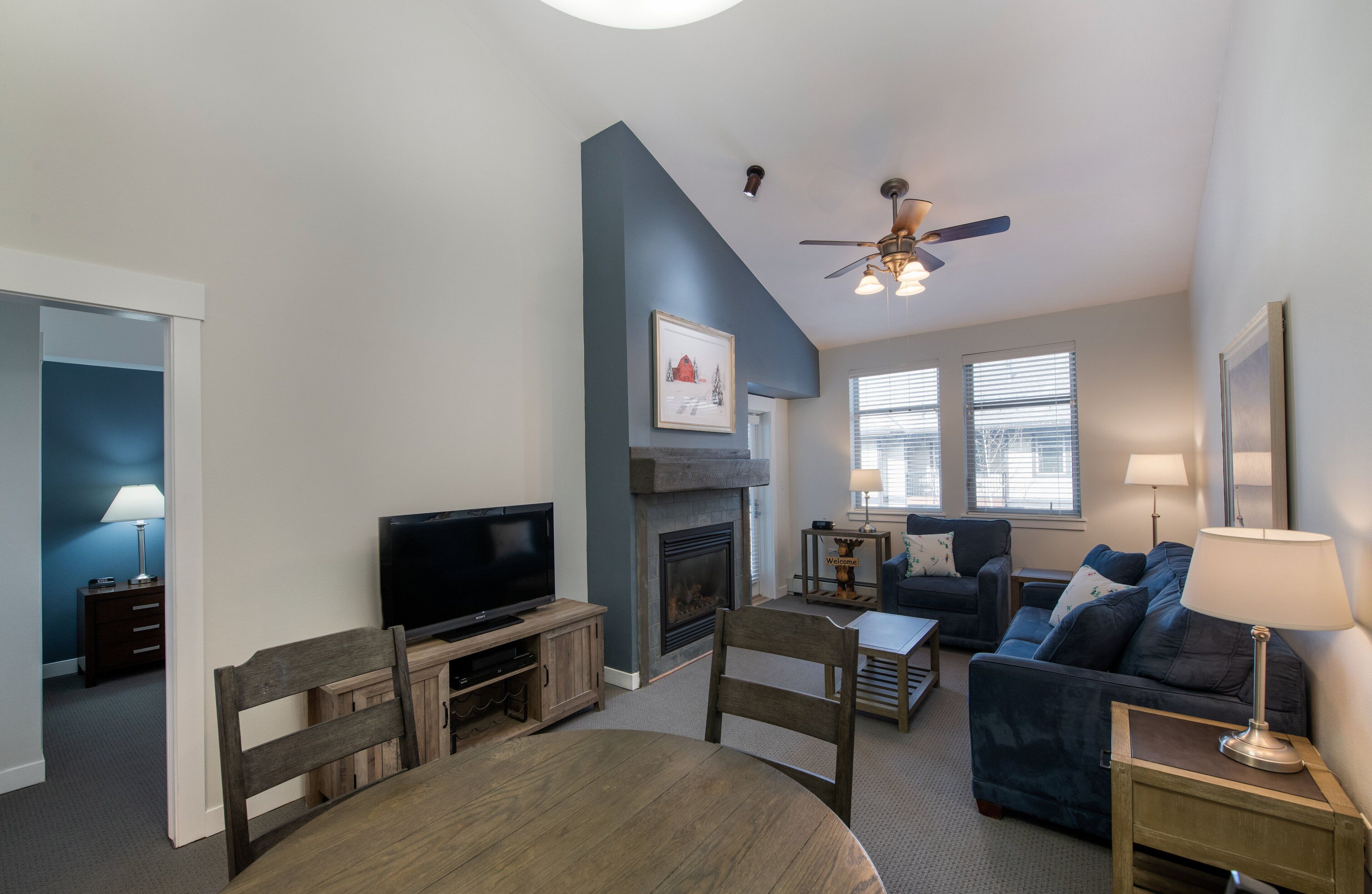 TV, fireplace