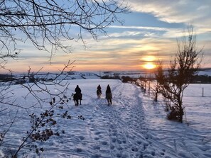 Deportes de invierno y ski