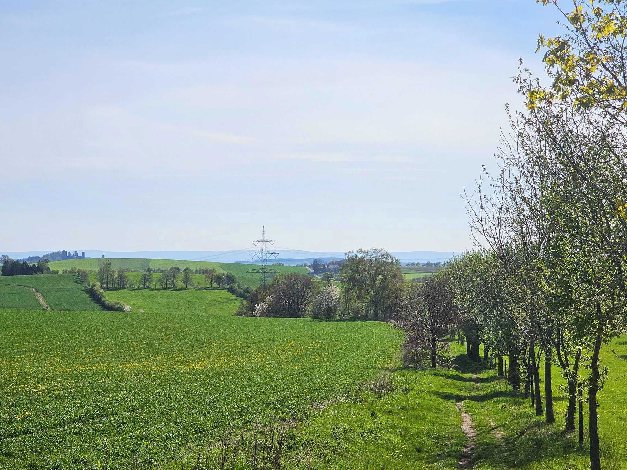 Paesaggio rurale con campi verdi, una torre di linee elettriche e un sentiero che si addentra tra gli alberi.