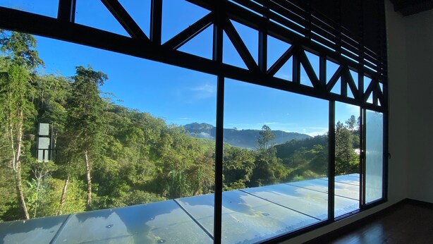 Habitación con amplios ventanales que ofrecen vistas a una ladera boscosa.