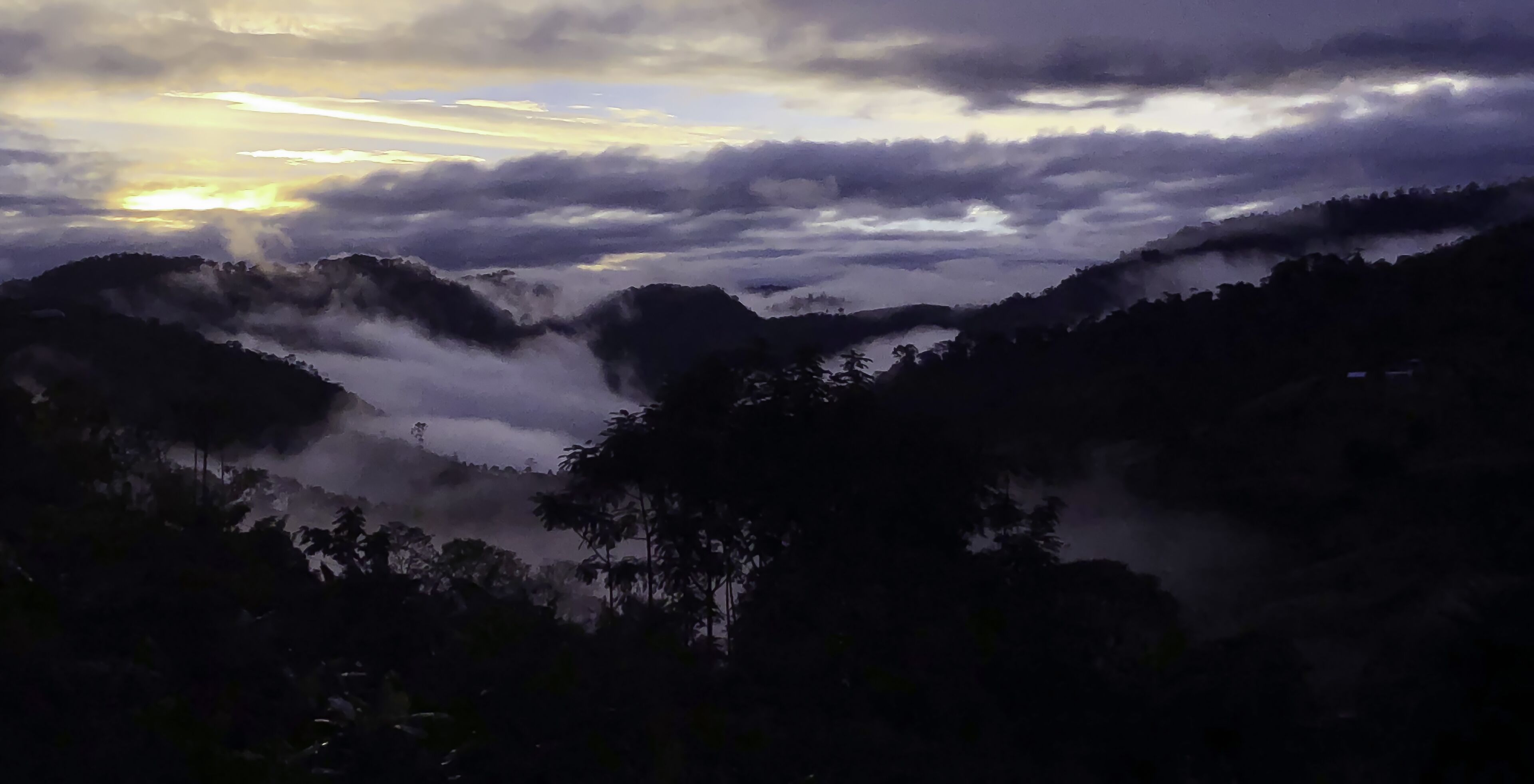 Un paisaje montañoso con bosques densos y un cielo nublado.