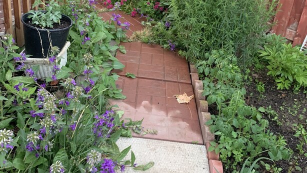 A garden pathway bordered by a wooden fence, leading to a brick patio area. - Cozy and quite 2 bedroom basement appartment with separate entrance… (Mississauga)