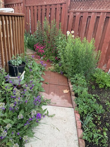 Cozy and quite 2 bedroom basement appartment with separate entrance…