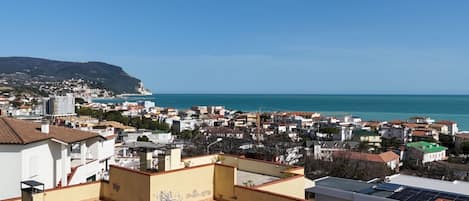 施設からの眺望