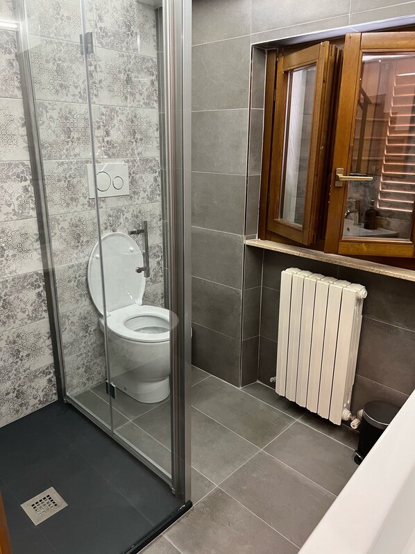Shower, hair dryer, bidet, towels
