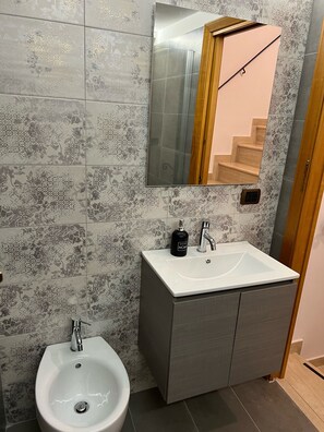 Shower, hair dryer, bidet, towels