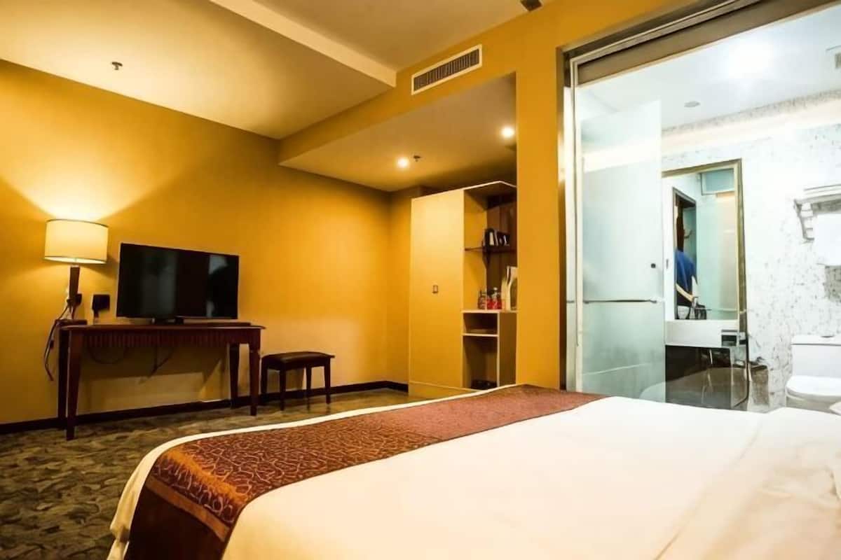 A hotel room with a bed, a television, a desk, a chair, a wardrobe, and a bathroom.