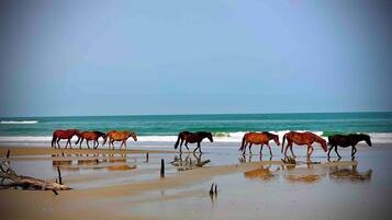 Beach nearby