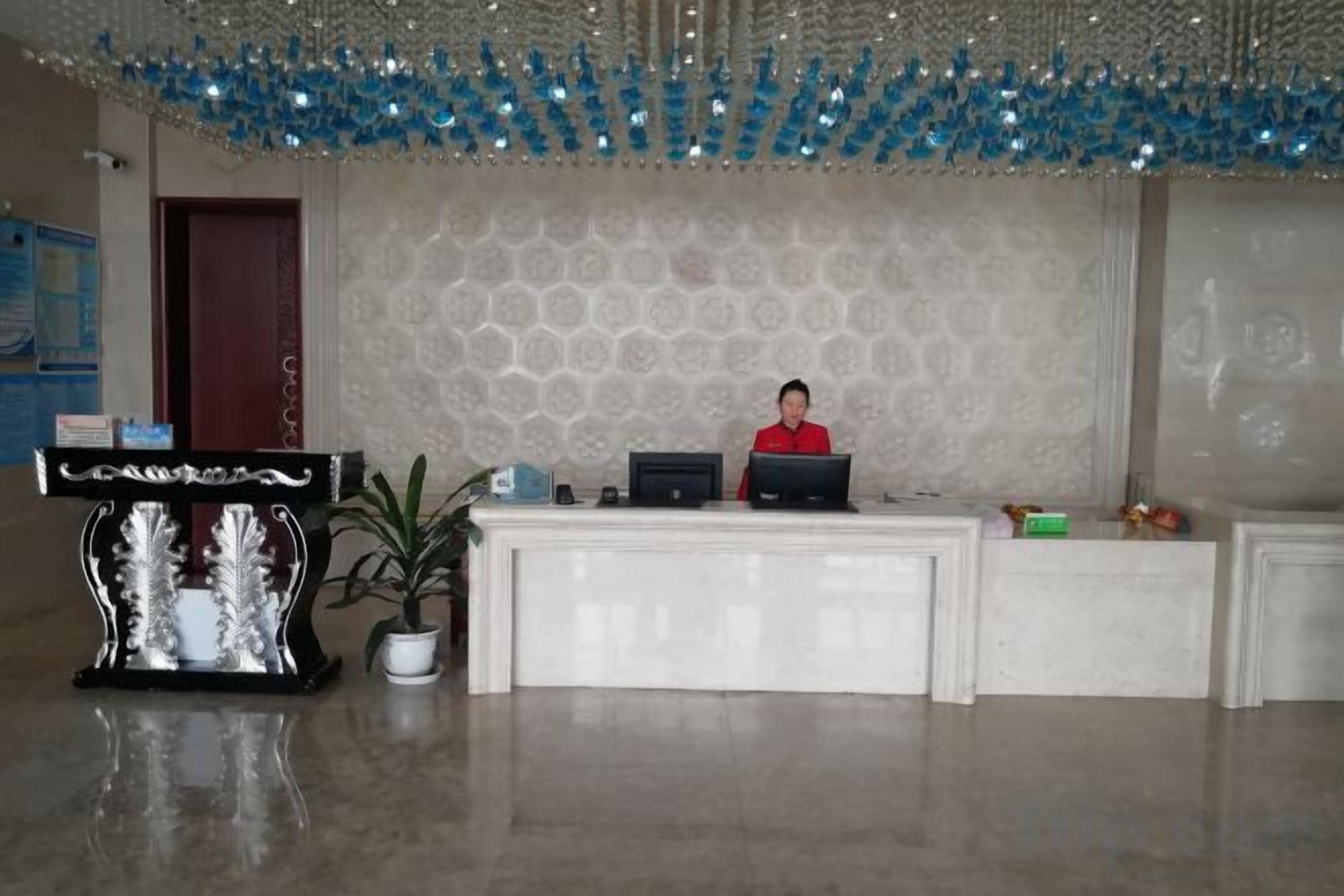 Zona de recepción con recepcionista, mostrador, planta decorativa y pared con diseño.