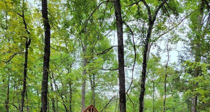 Cabin #9 The Spruce-Log cabin on Table Rock Lake