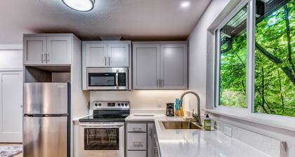 Downtown studio - walk to University - full kitchen, dog-friendly, washer/dryer