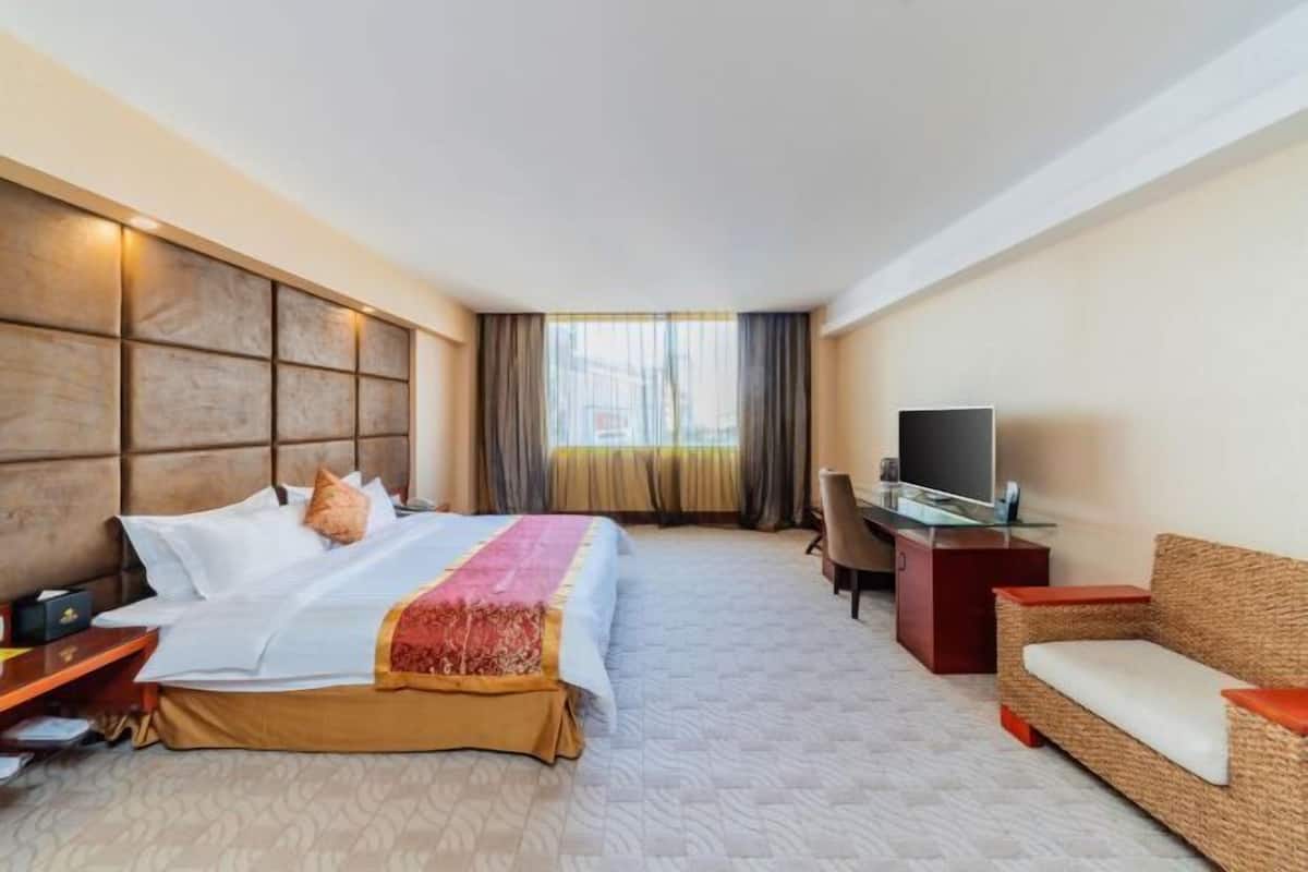 Une chambre d’hôtel avec un lit, une télévision, un canapé et un bureau.