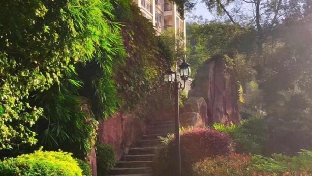 Una escalera de piedra rodeada de abundante vegetación y un edificio con balcón.