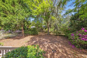 Property grounds - Spacious 4 bedroom home in Sea Pines, close to golf, beaches and Harbor Town! (Hilton Head Island)