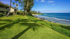 A beachfront property with a well-maintained lawn, a building with a balcony, and a view of the ocean.