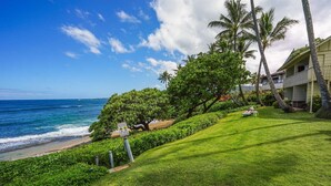 A beachfront property with a well-maintained lawn, palm trees, and a view of the ocean.