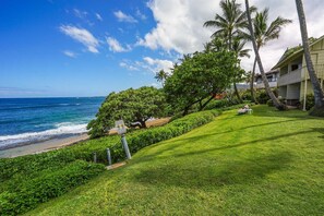 Property grounds - Kapaa Sands  Unit 10 Direct Oceanfront Studio (Kapaa)