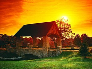 Imagem sem classificação, 4 de 42, botão