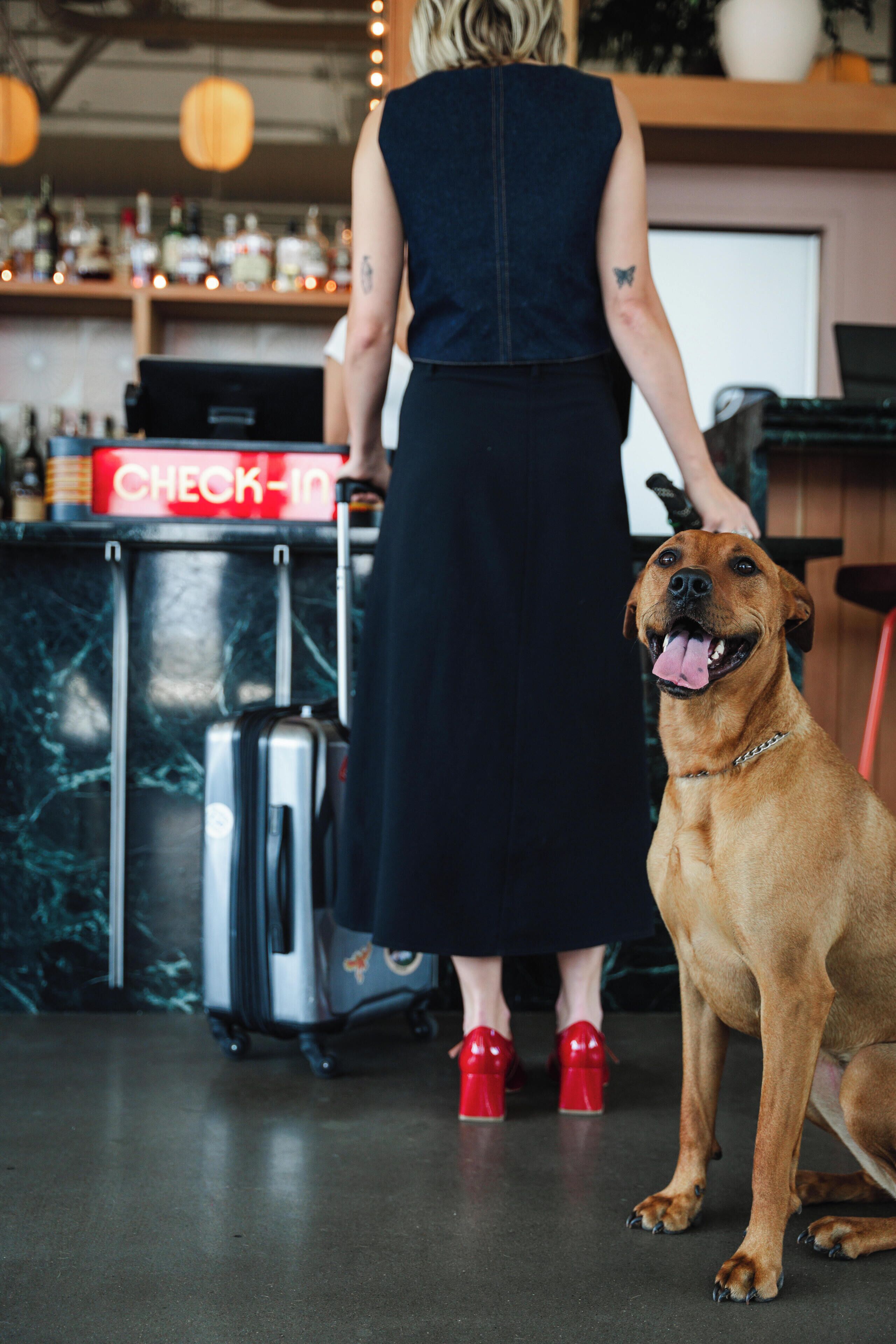 Photo - Waymore's Guest House