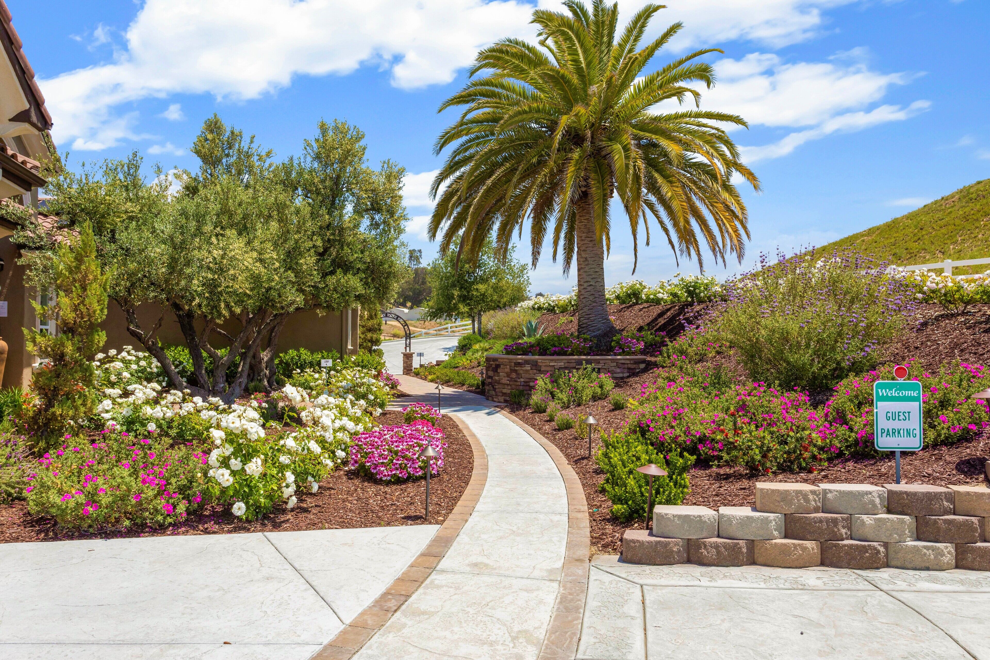 Garden view