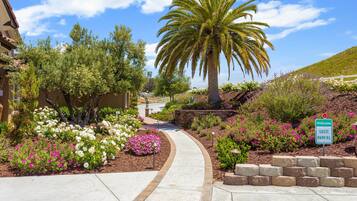 Garden view