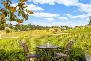 Grand Studio Suite, 1 King Bed, Vineyard View | Vineyard view - Gaia Inn and Spa - Adults Only - Temecula Wine Country (Temecula)