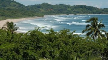Playa en los alrededores y 8 bares en la playa