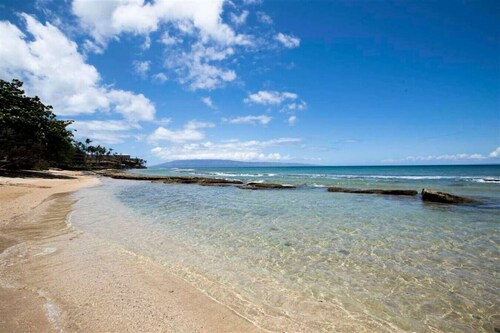 Tropical Oasis By The Sea