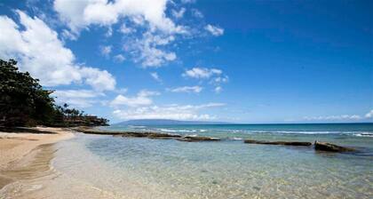 Tropical Oasis By The Sea