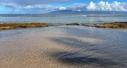 Tropical Oasis By The Sea