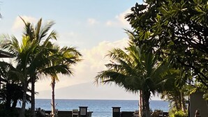 A tropical resort with palm trees, a pathway, and a view of the ocean. - Tropical Oasis By The Sea (Lahaina)