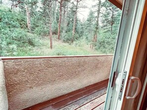 Interior - _Colorado's best getaway and adventure located at the base of Pikes Peak #2 (Cascade-Chipita Park)