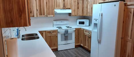 Frigorífico, microondas, horno y placa de cocina