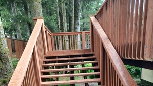 A wooden staircase leading up to a deck surrounded by trees. - Raven's Roost - Beaver Lake (Kodiak)