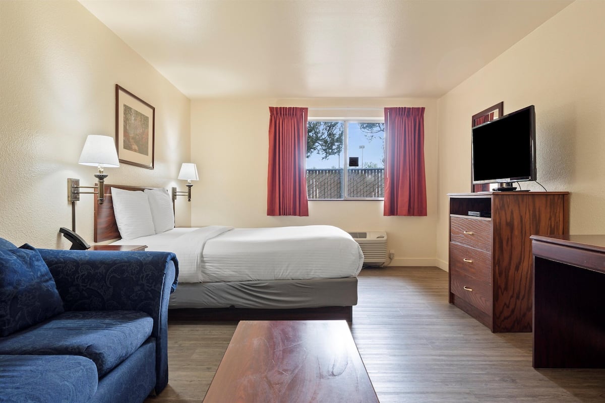 A hotel room with a bed, a desk, a TV, a couch, and a window with curtains.