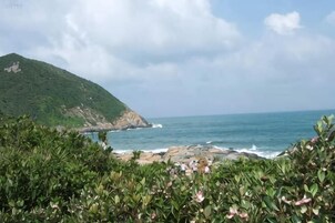 Praia