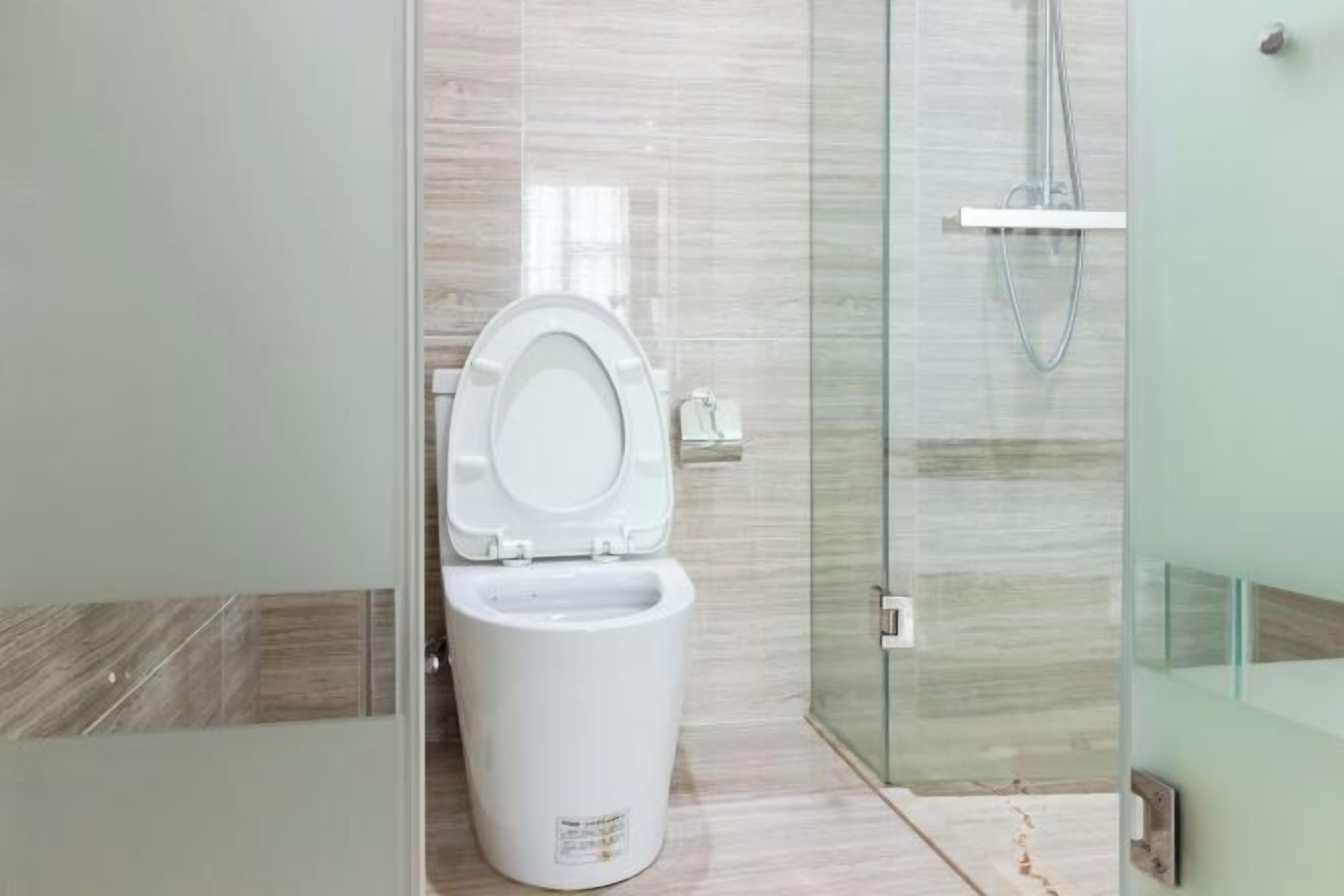 Uma casa de banho moderna com sanita, cabine de duche em vidro e chão em mosaico.