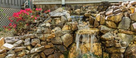 Parco della struttura