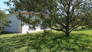 Àrea exterior de l'allotjament