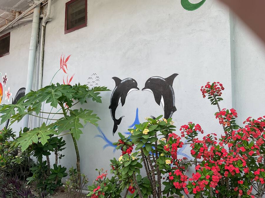A wall with a mural of two dolphins and surrounding greenery.