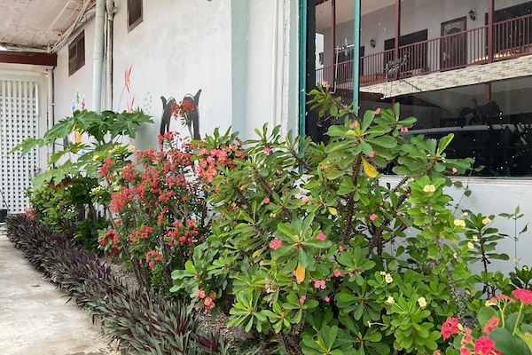 Fachada de la propiedad