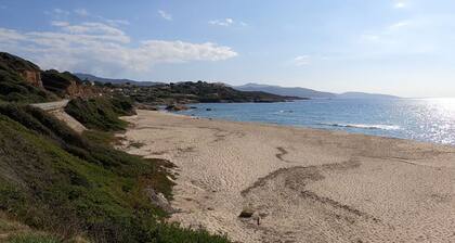 Le cosy Corse: superb apartment with sea view. 300m from the beach, all on foot.