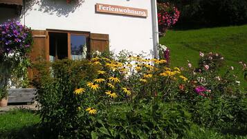 DĂ©tail de lâextĂ©rieur