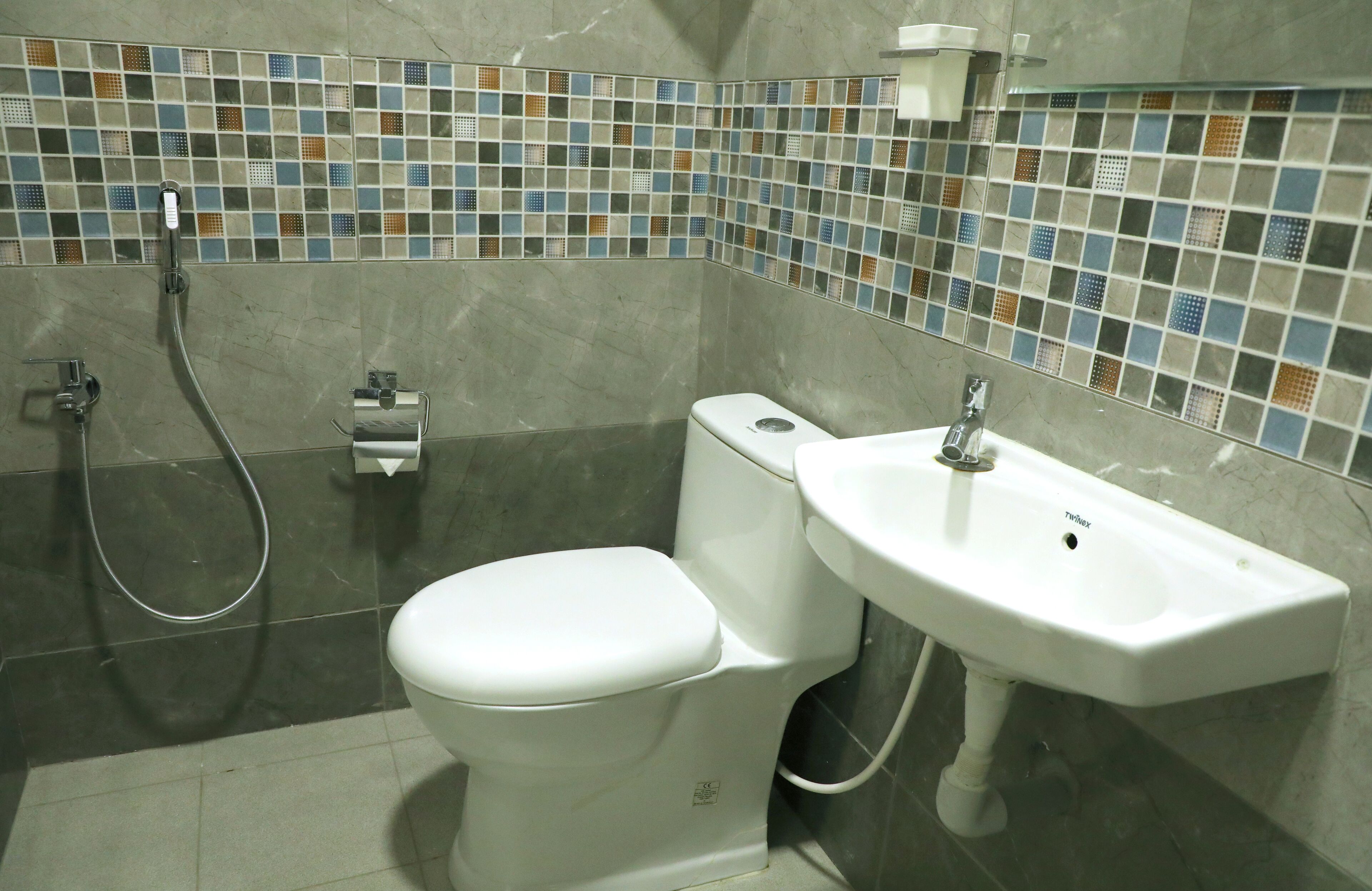 A bathroom with a toilet, a sink, and a shower.