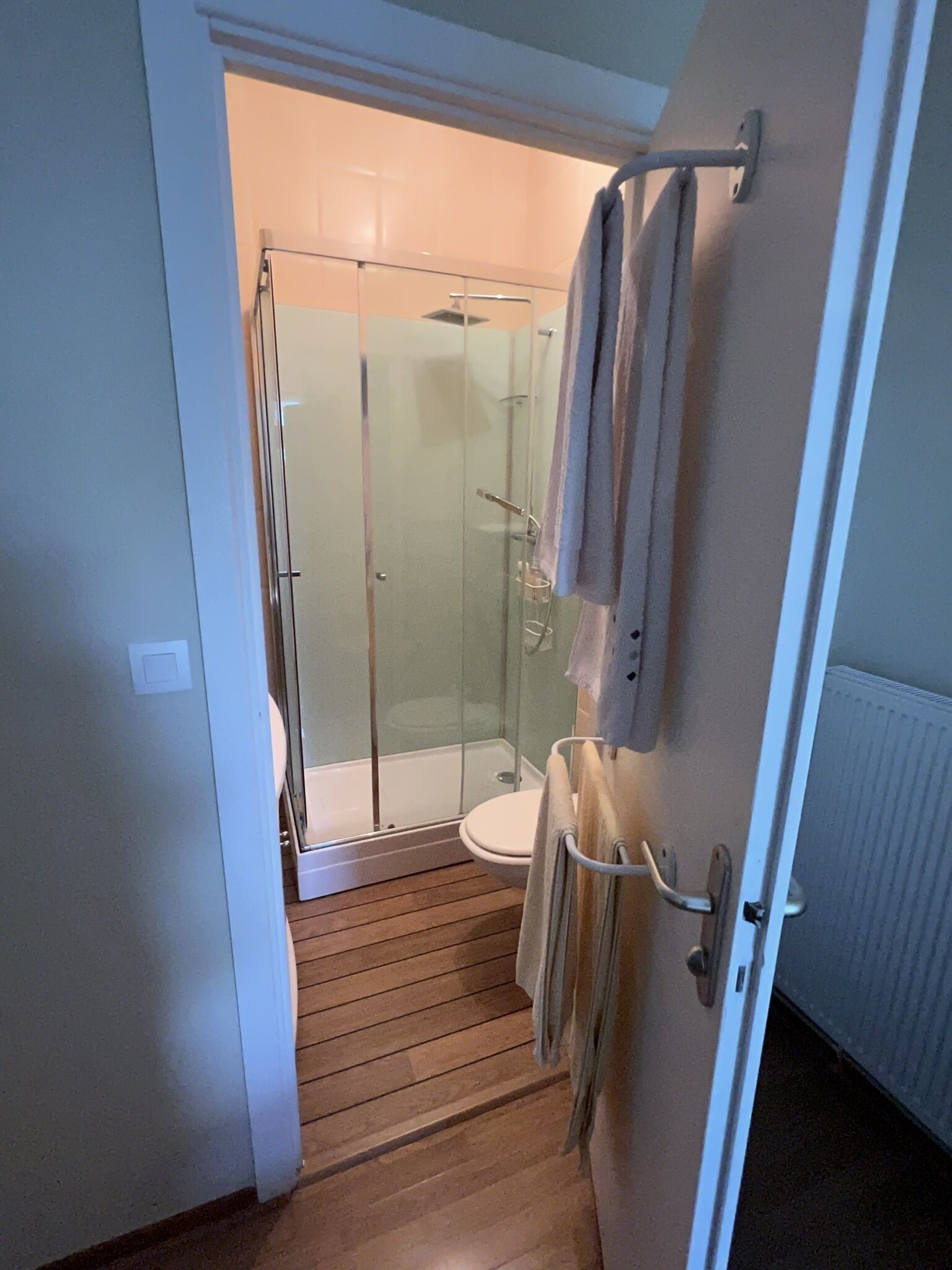 Een badkamer met een douchecabine van glas, een toilet en een handdoekhouder.
