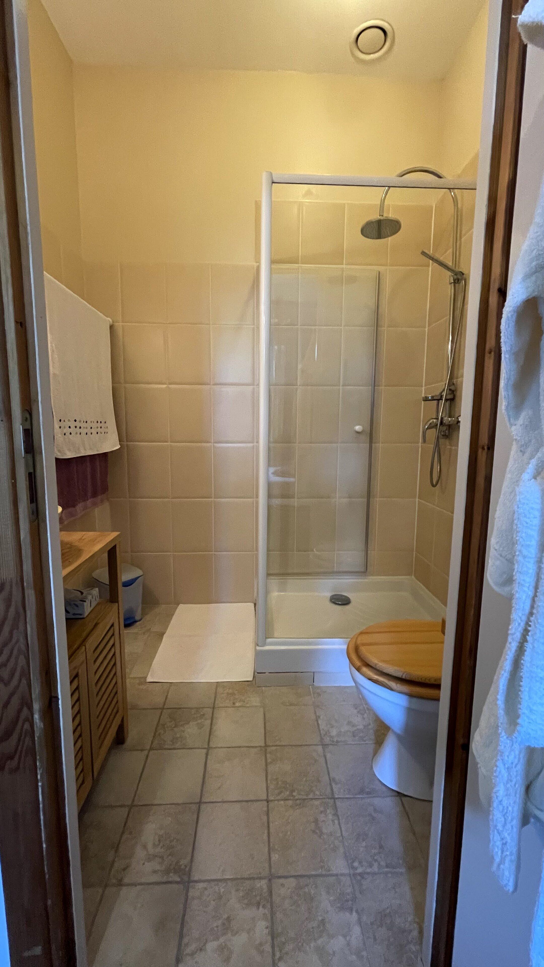 Bathtub, hair dryer, bidet, towels