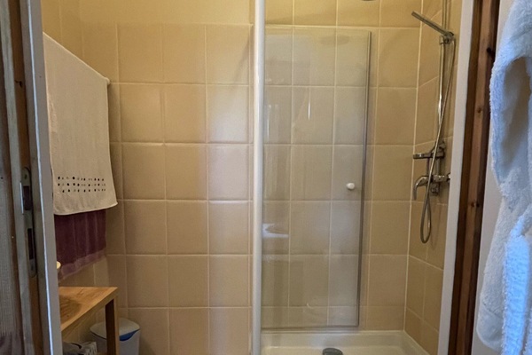 Bathtub, hair dryer, bidet, towels