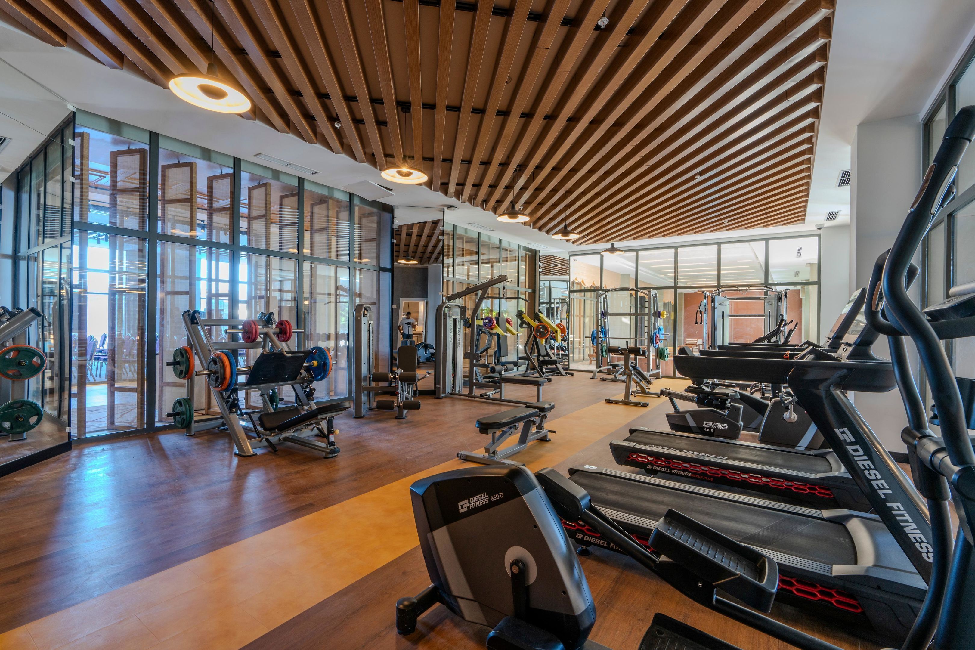 A modern gym with treadmills, weight machines, and free weights.