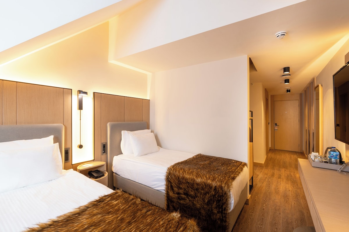 Premium bedding, minibar, in-room safe, soundproofing